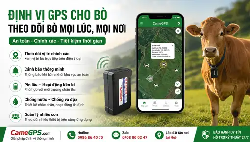 dinh-vi-gps-cho-bo-tai-hue-camegps-510x290.jpg