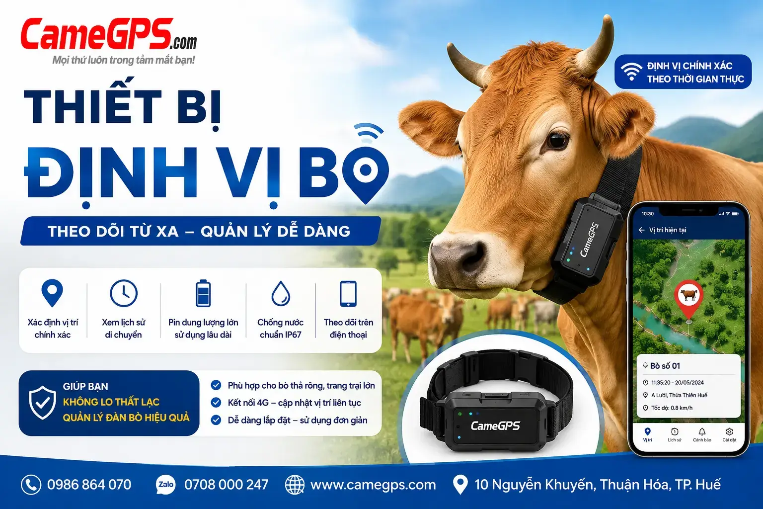 Thiết Bị Định Vị Bò Bằng GPS - Theo Dõi Bò Thả Rông Từ Xa 1 Thiết bị định vị bò bằng GPS CameGPS